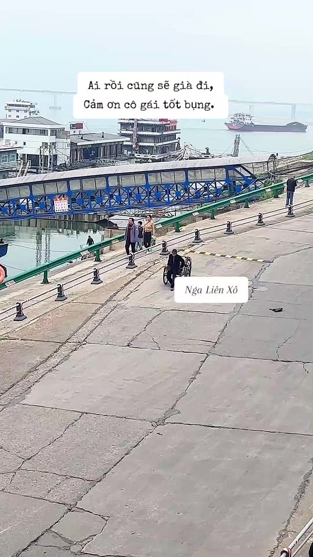 @🇻🇳 Nga Li&ecirc;n X&ocirc; 🇻🇳