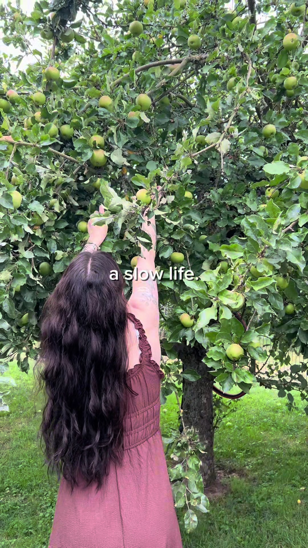 @Annavelle
