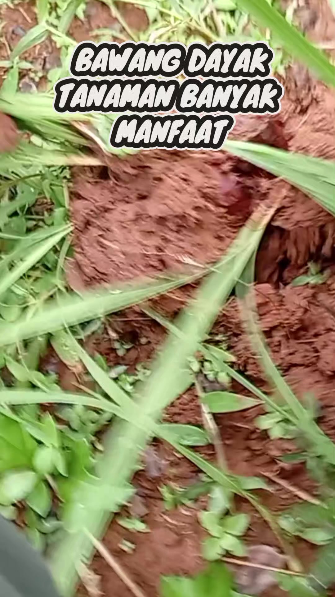 @ANUNIQUE