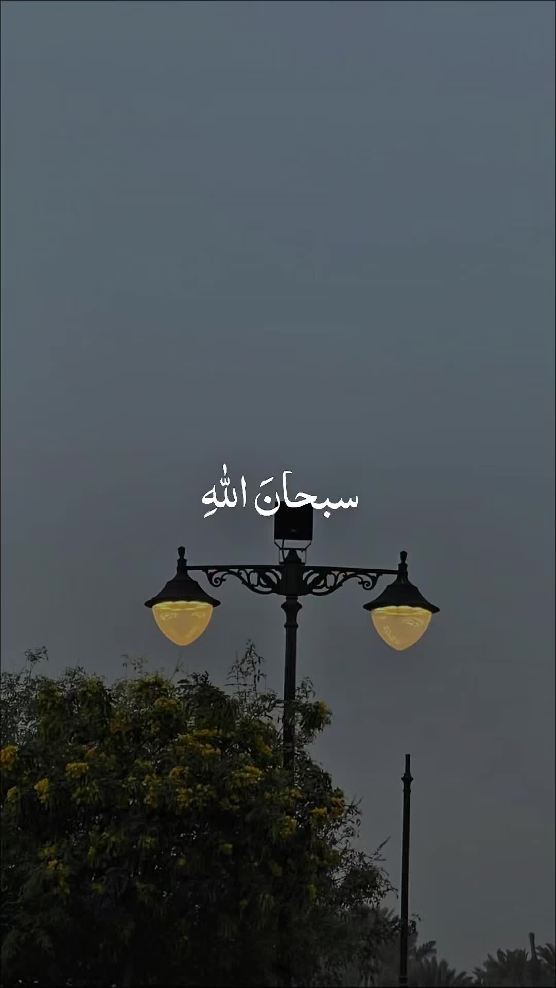 @[Quran]