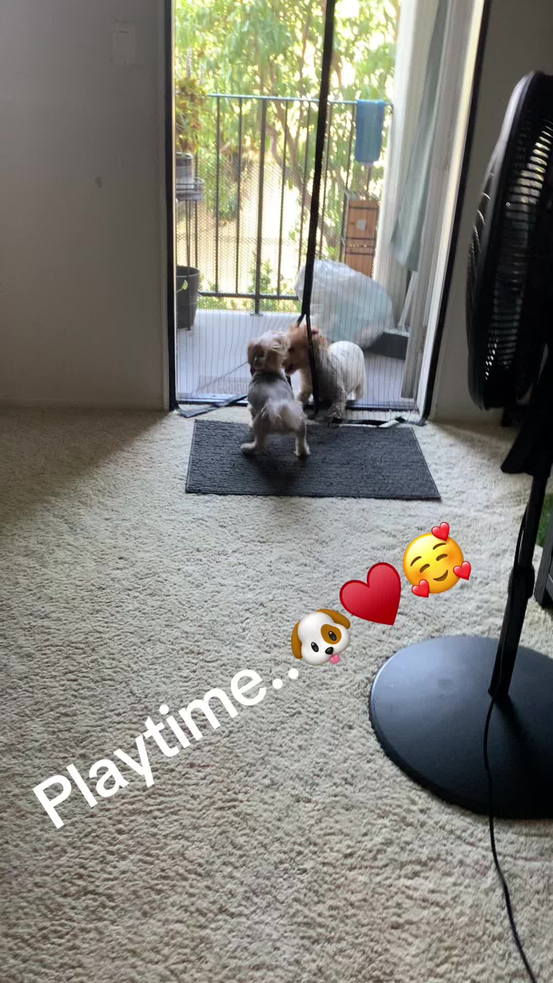 @ameliawheatley2