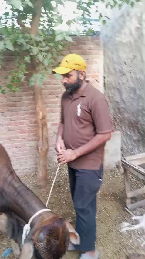 @Saqib Goraya