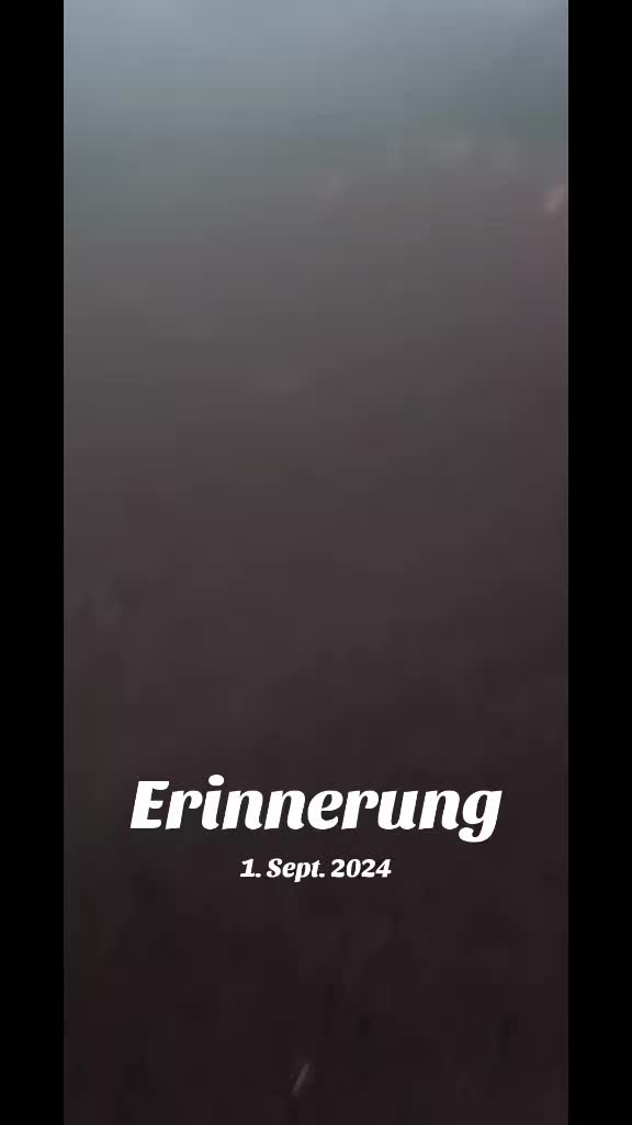 @🍁DieMiri♠️♥️Einfachtierschutz