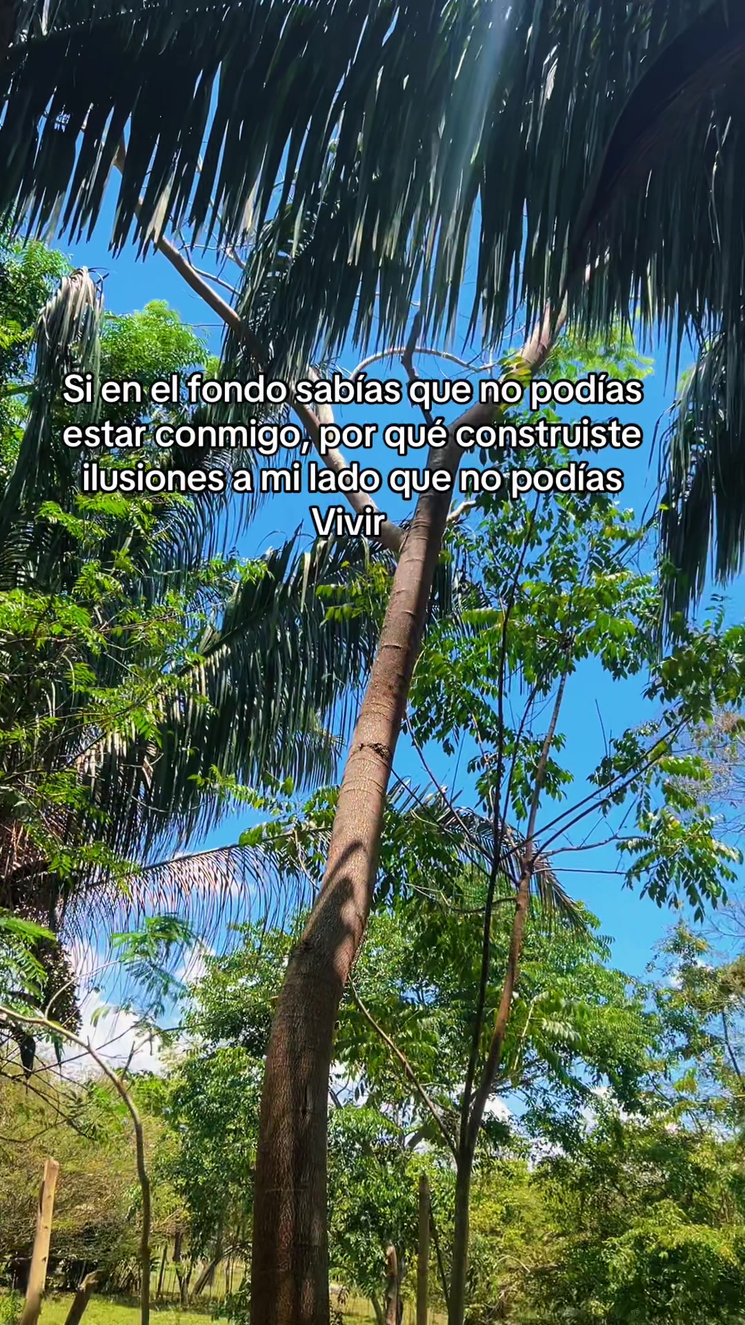 @Kaleider Salcedo