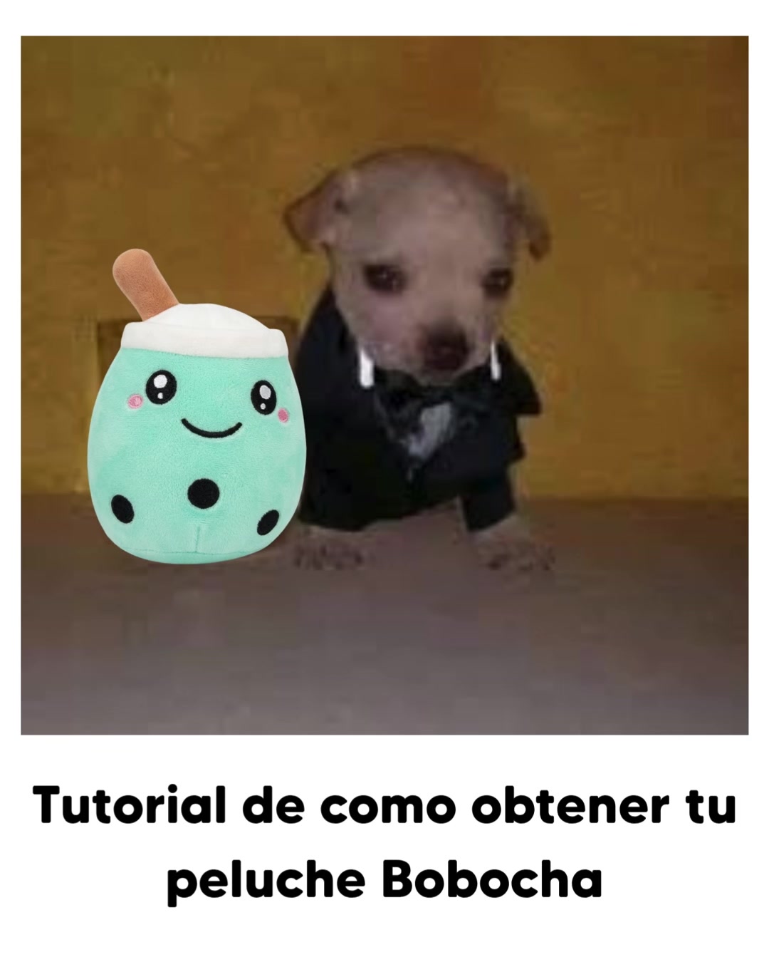 @Bobocha Bubble Tea