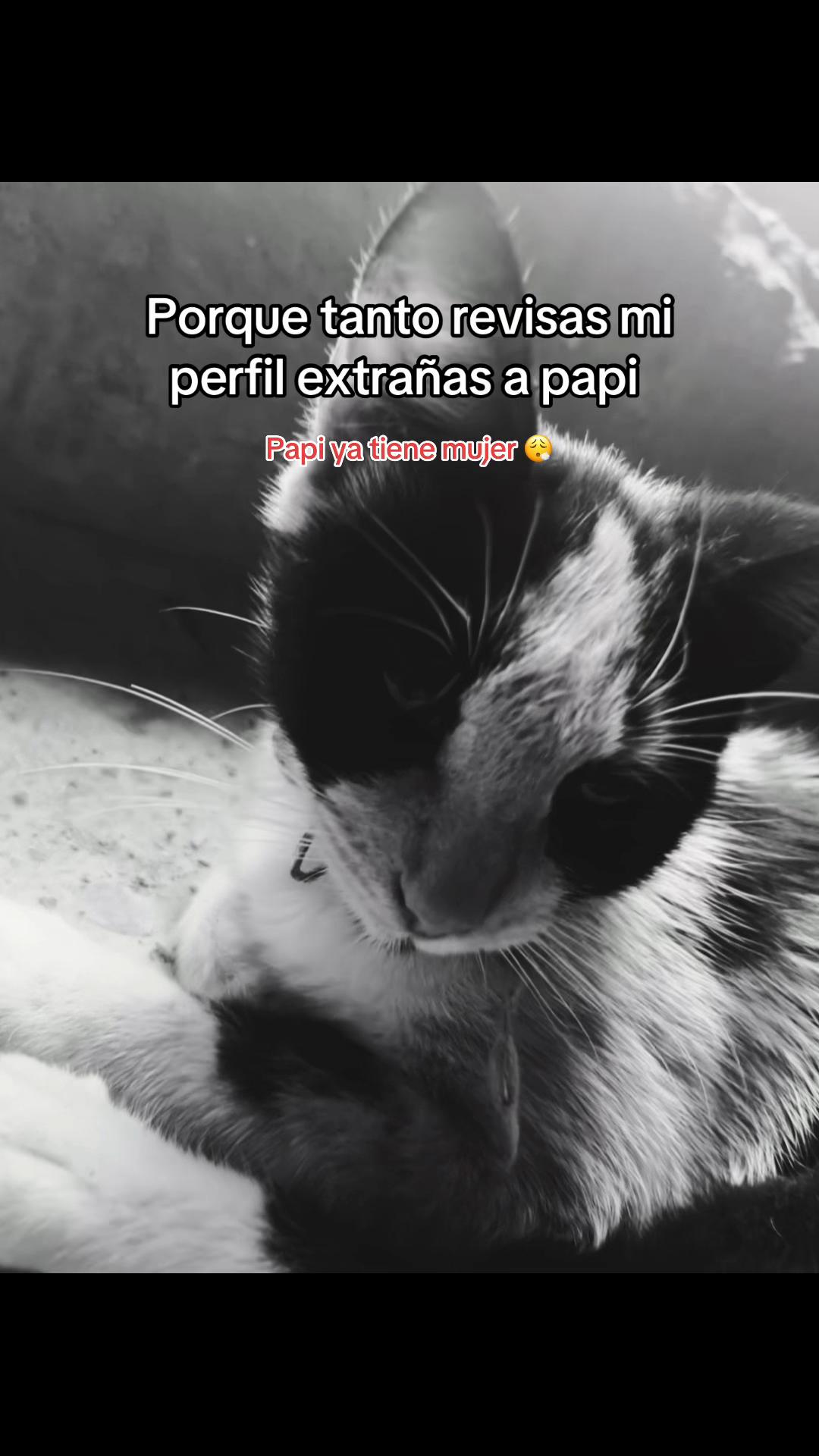 @Nata 