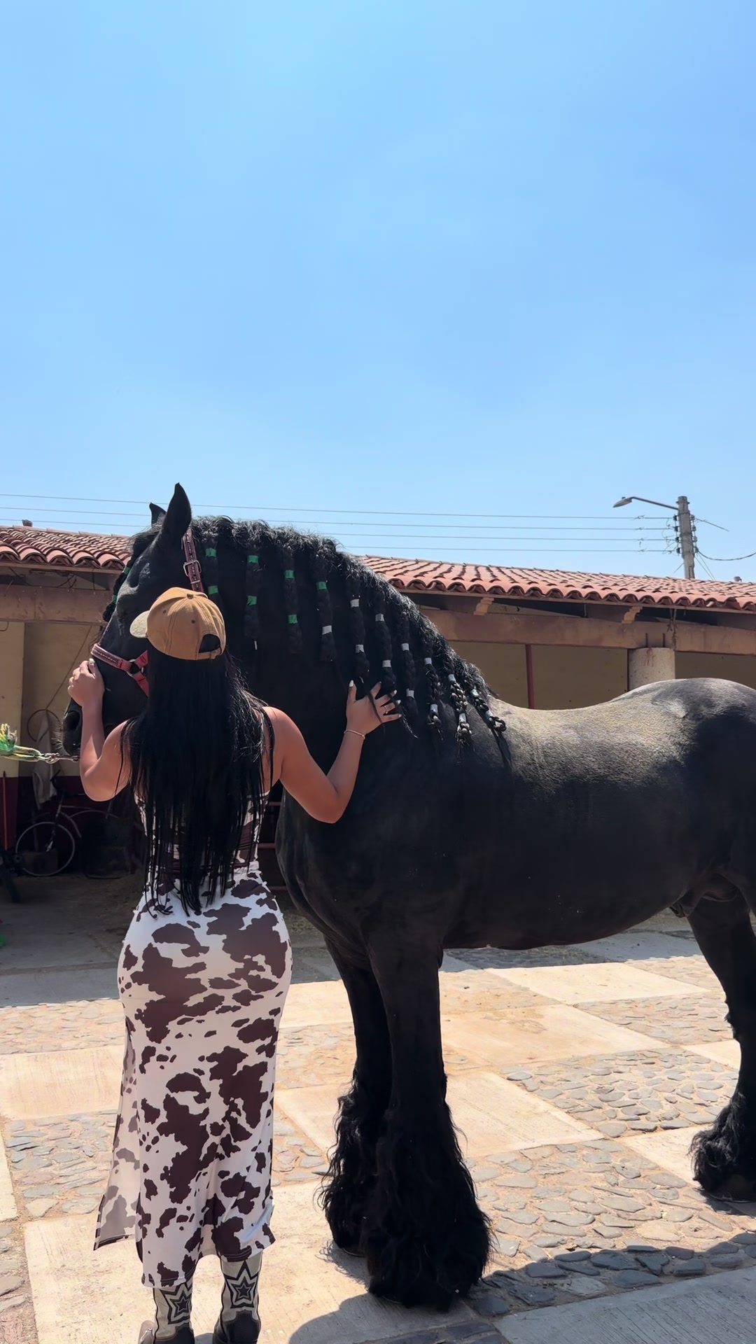 @alejandra.kandy