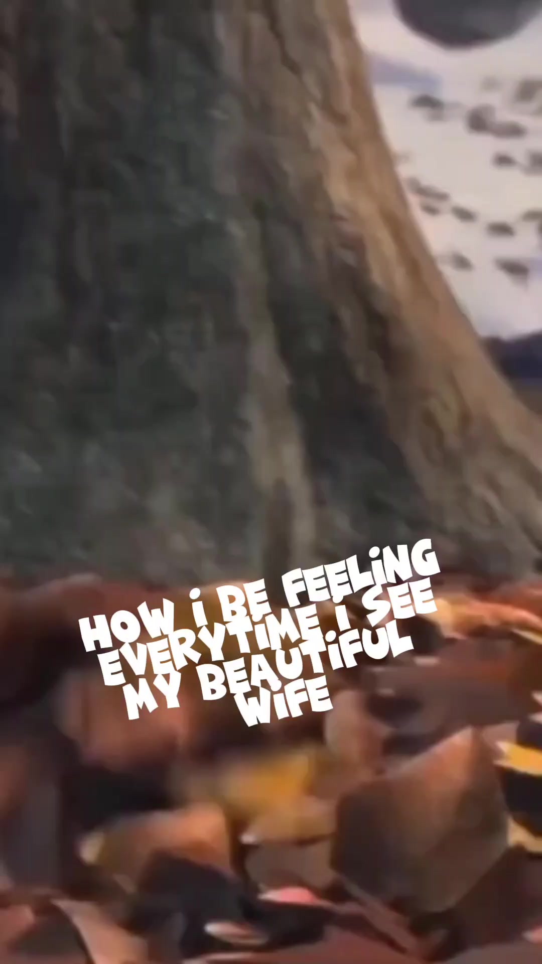 @TattedSpiderDad
