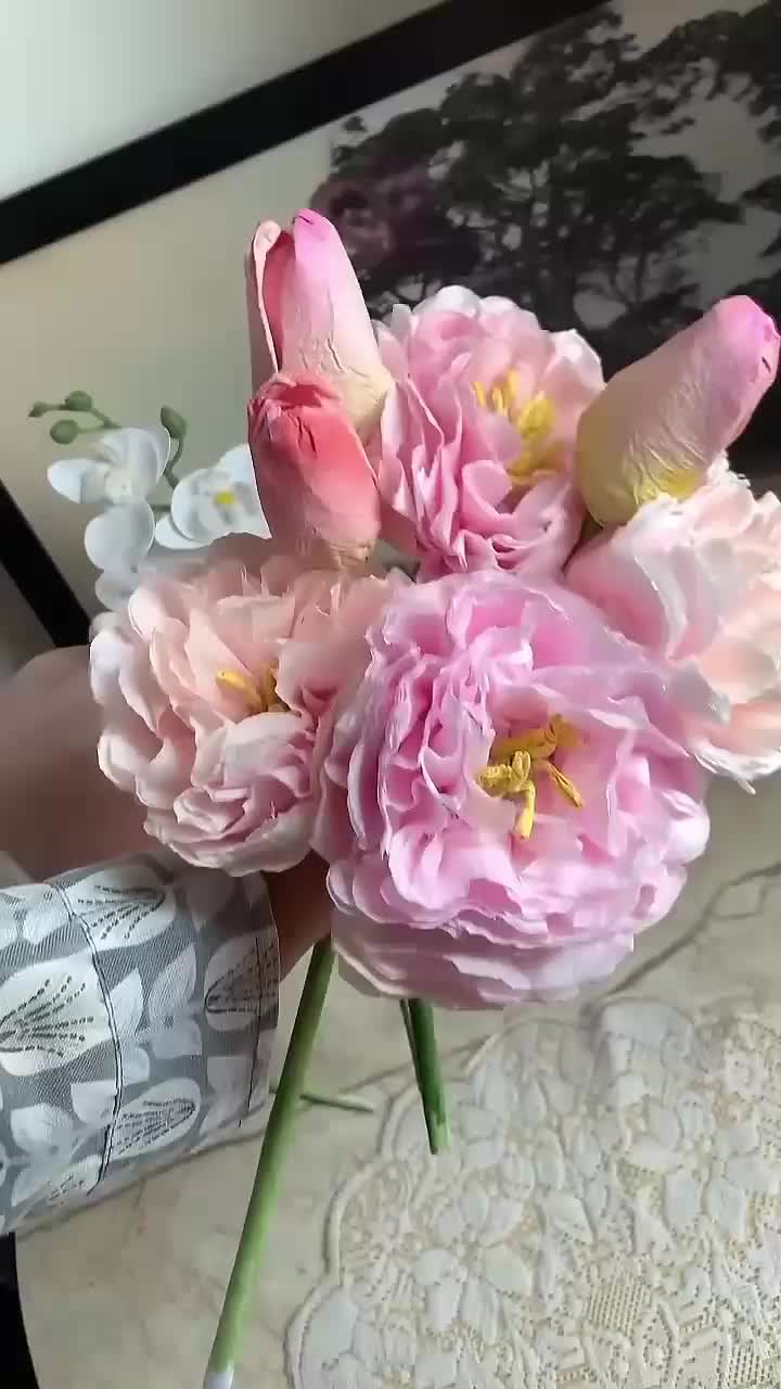 @หโน ๐ด๐๐๐๐๐ซ๐๐๐๐โฝหโน
