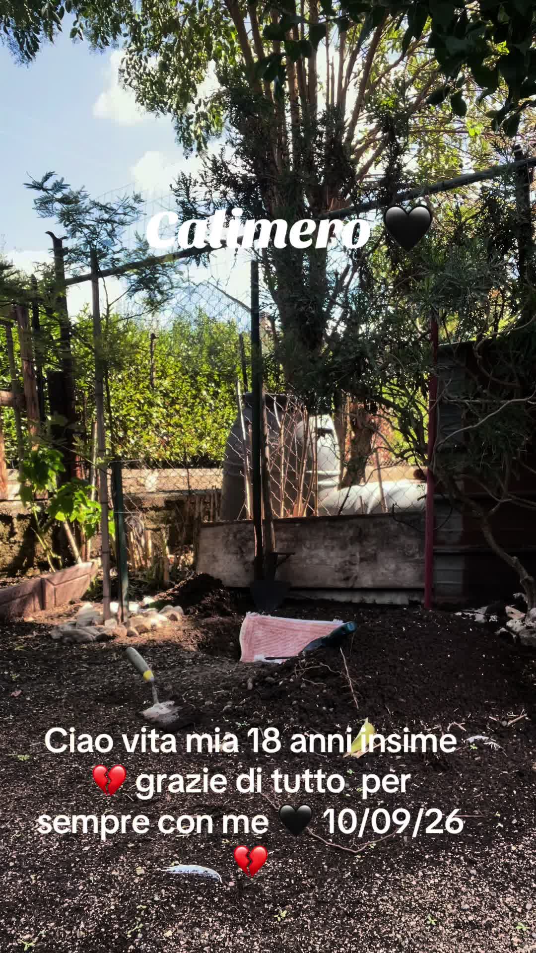 @Giancarlo Zambernard