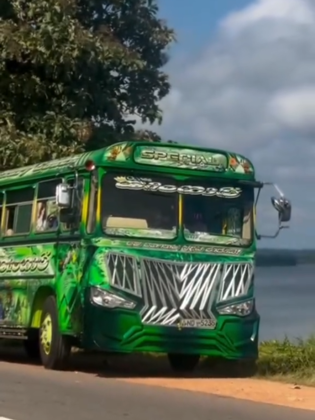 @Achira Bus Kingdom