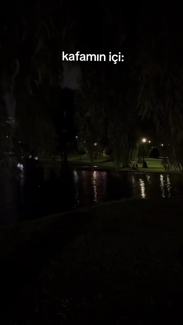 @Aziz Barak