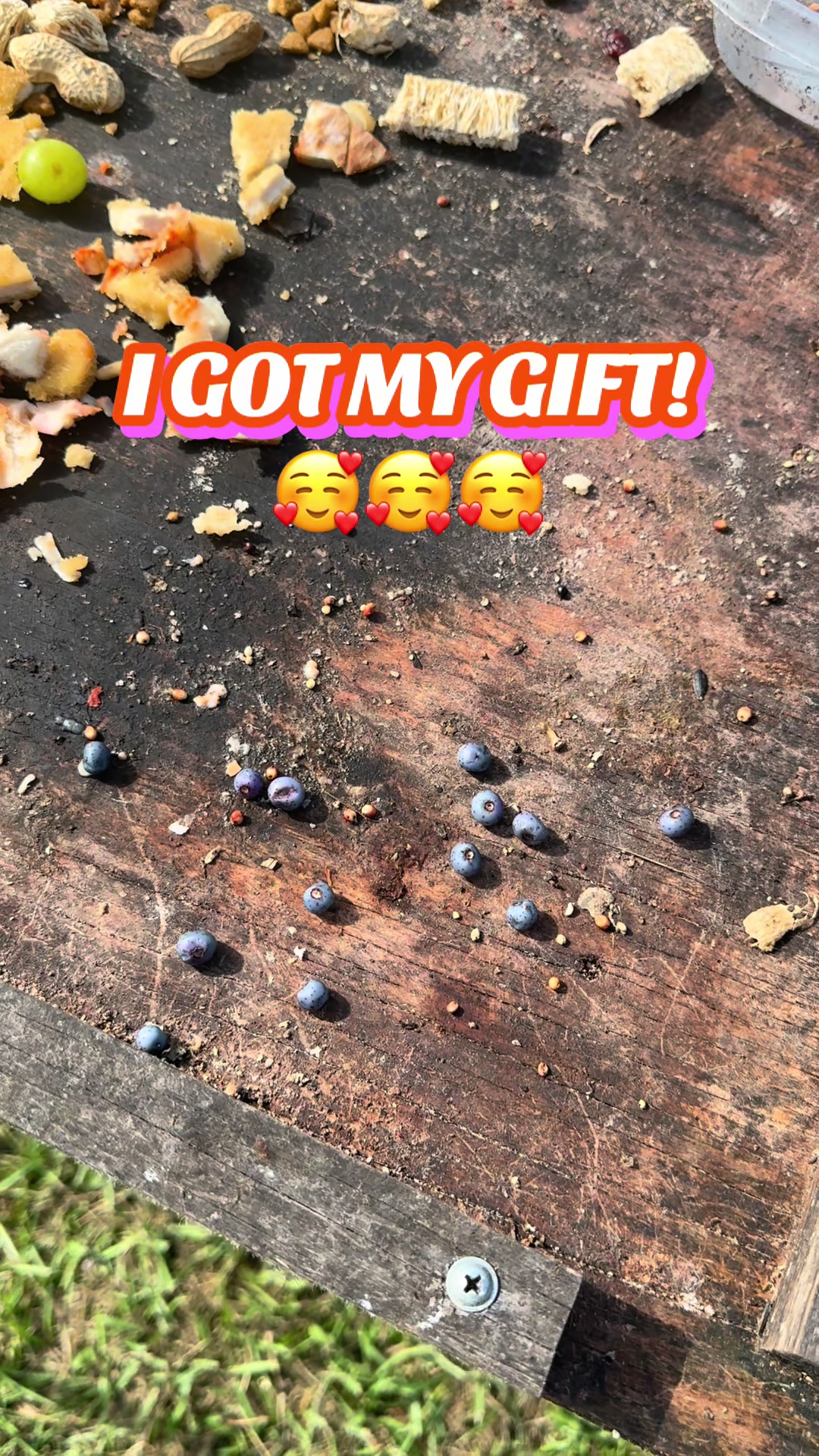 @Buffy_In_Louisiana