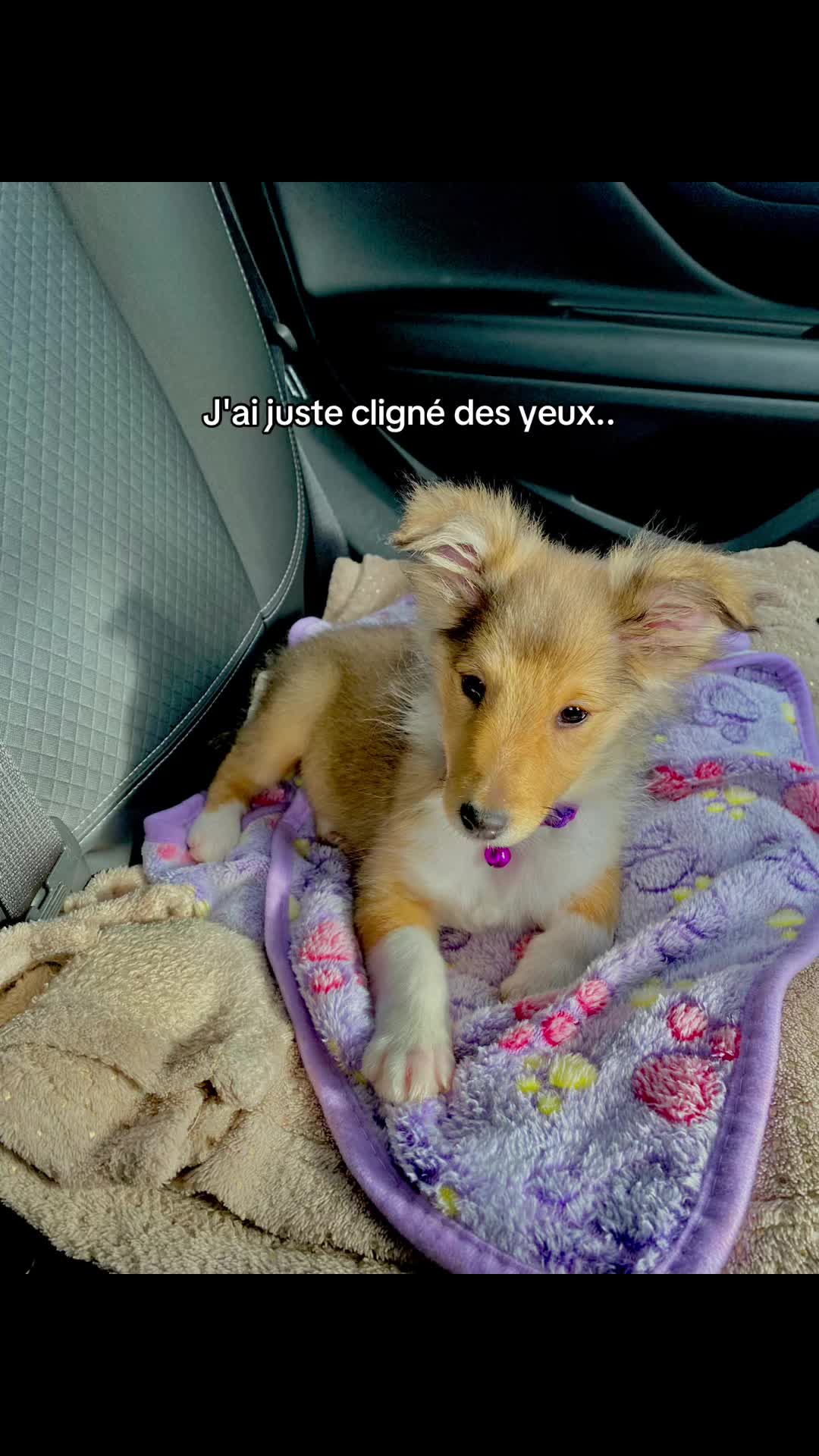 @Manon