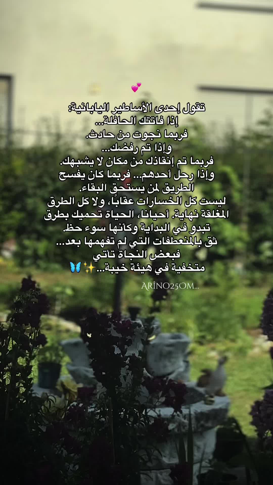 @Ar&icirc;no25Om
