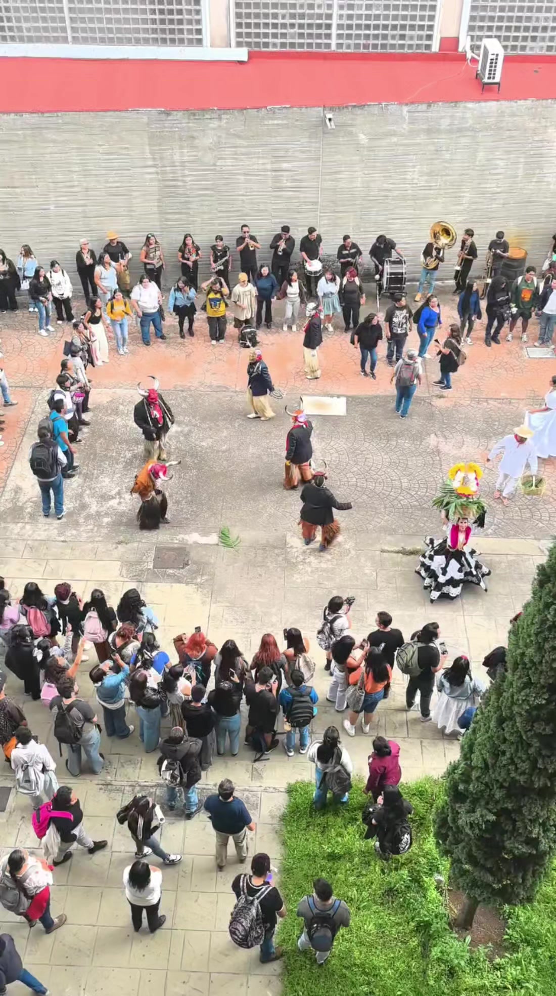 @La Pérez 🦂🦇🌎USF☄️⛰️🎠🎲🌺🪸