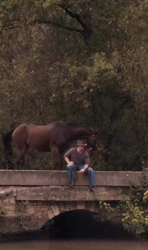 @HORSES