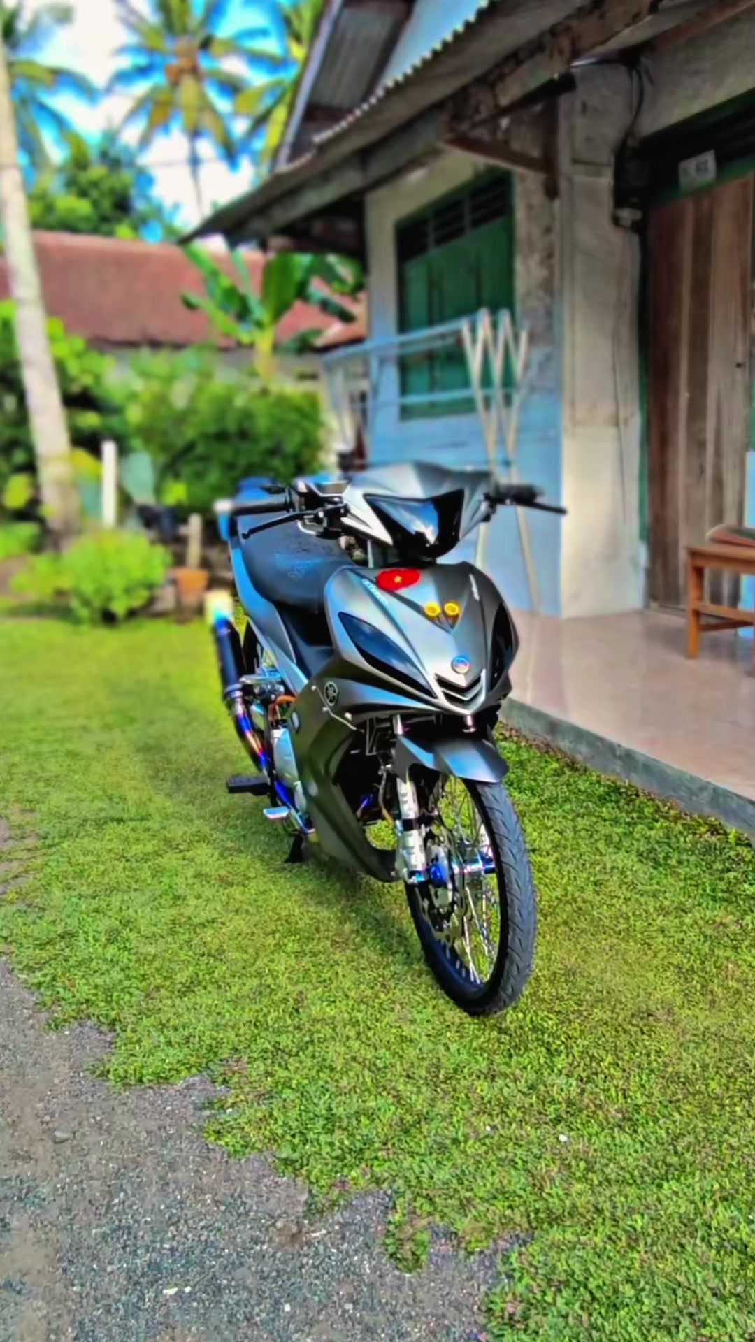 @wildia colection