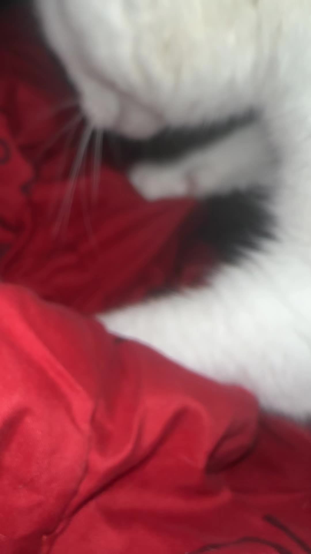 @ً