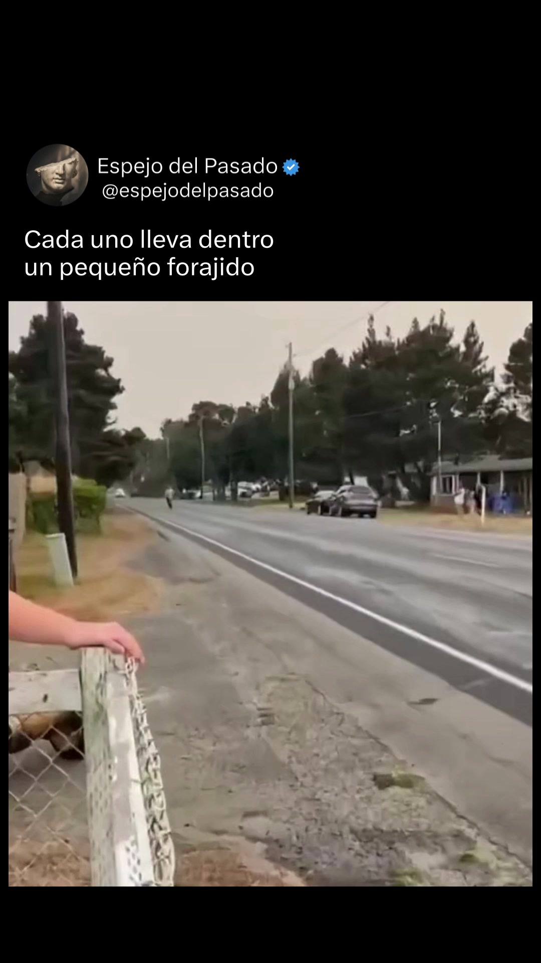 @espejodelpasado