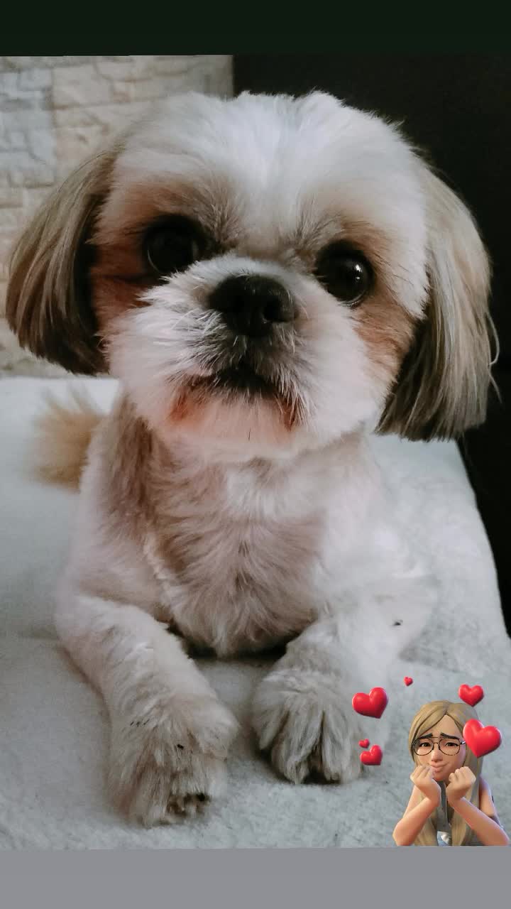 @Mirabelka 🍀