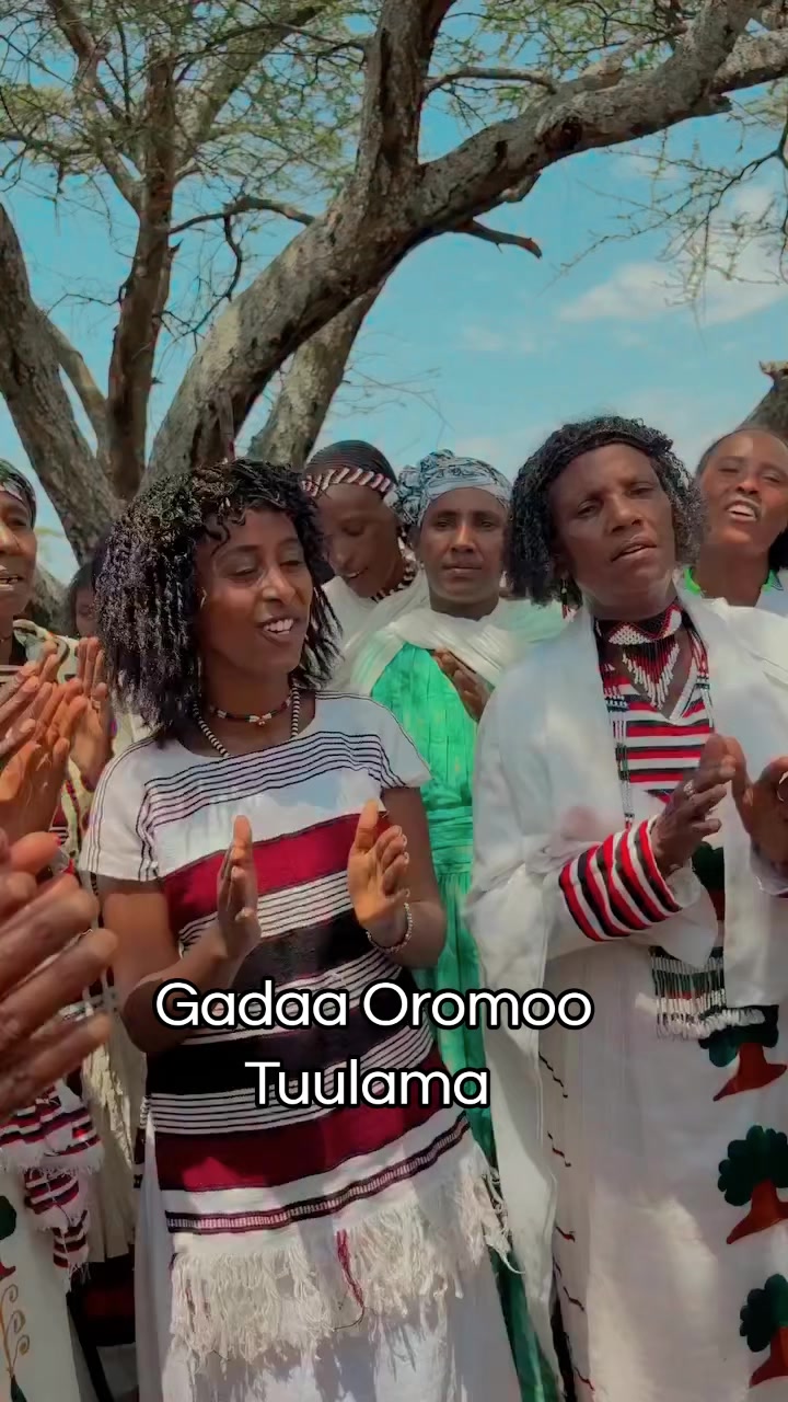 @Shimallis Abdisa Parody