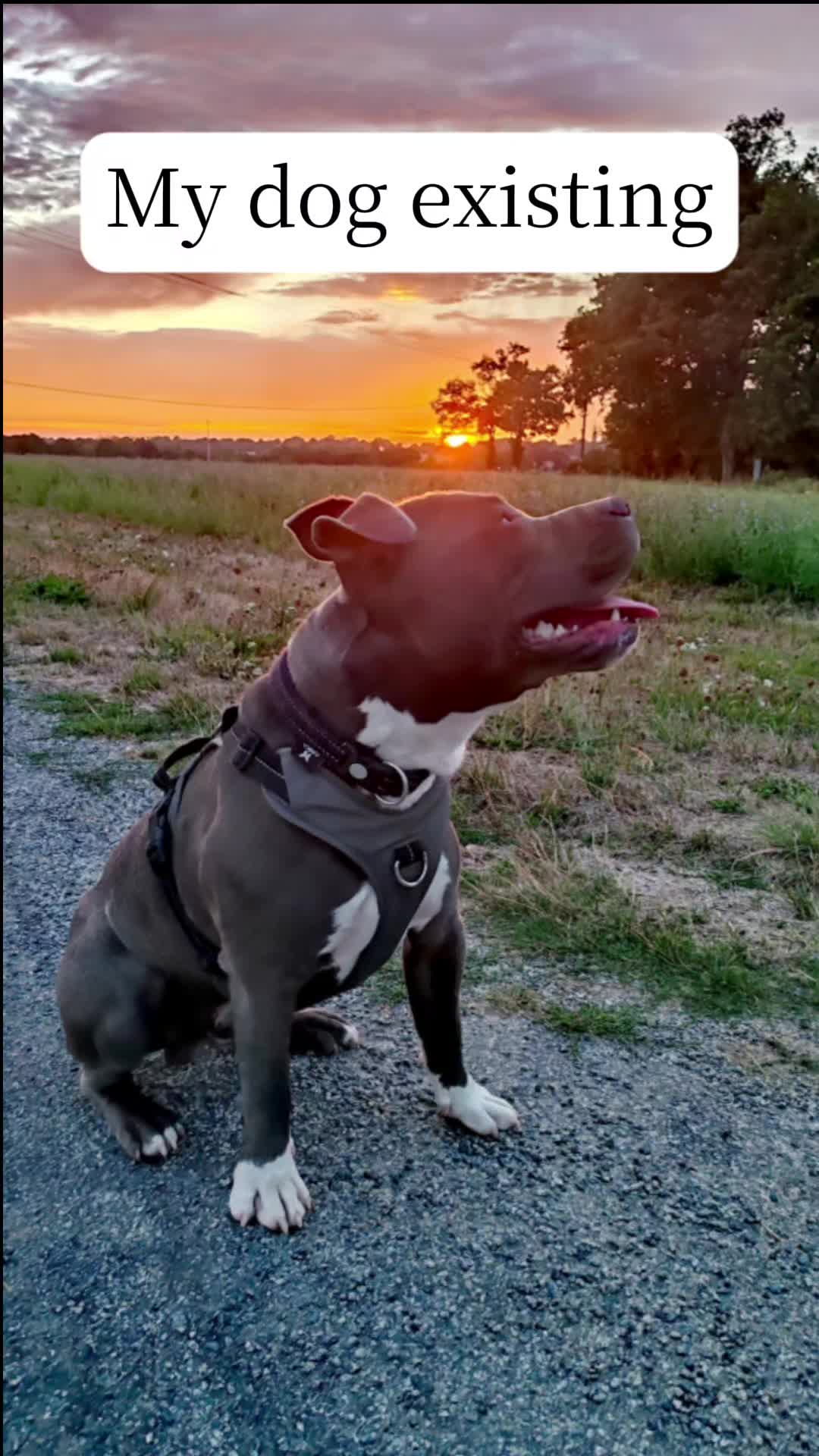 @Asko amstaff