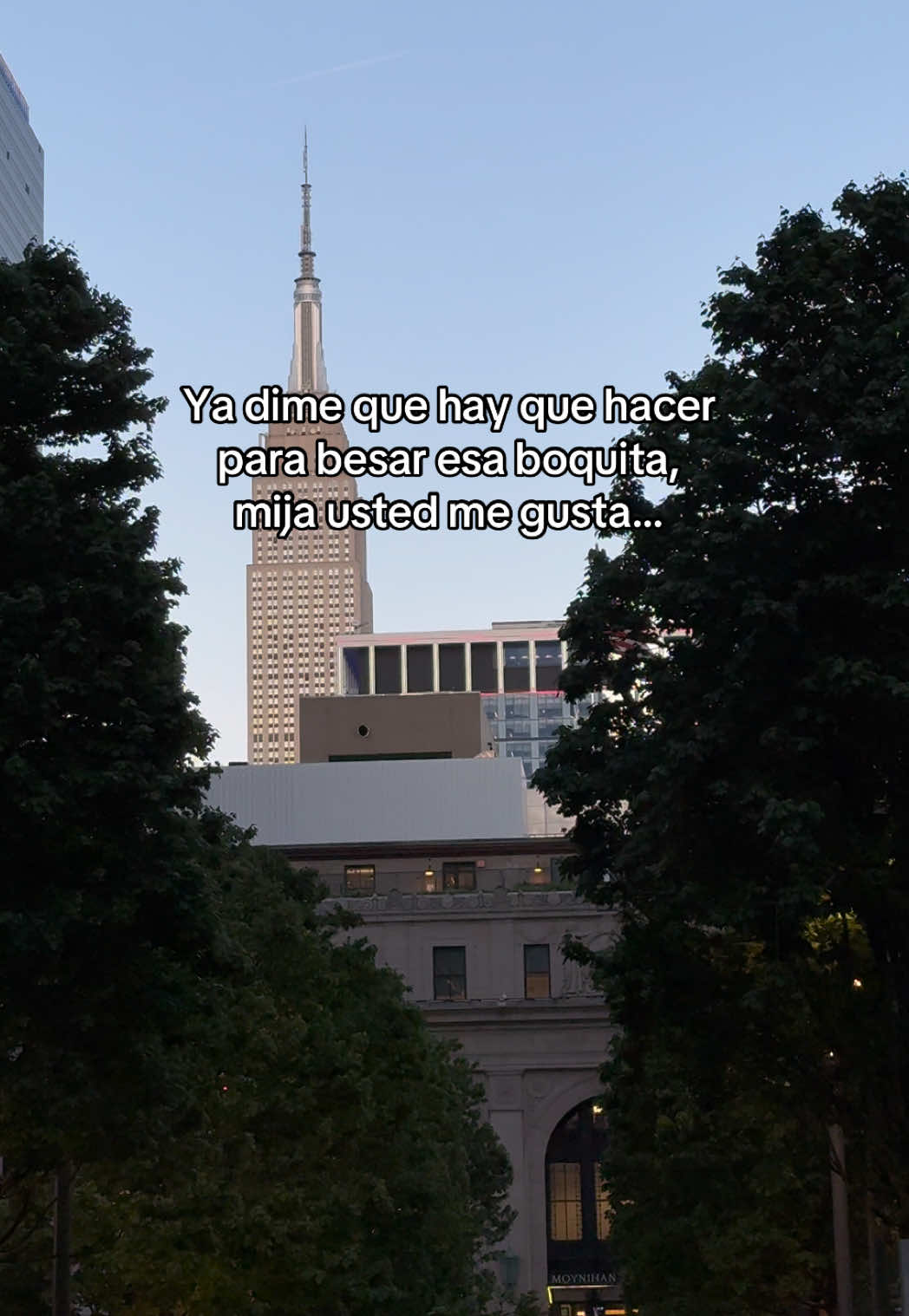 @𝑬𝑳 𝑩𝑶𝑺𝑻𝑶𝑵