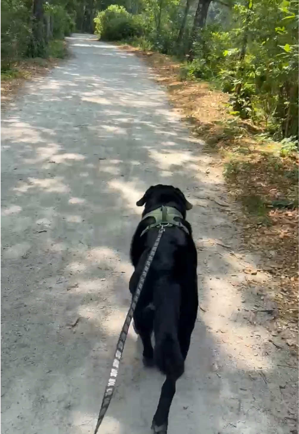 @rubenblacklab