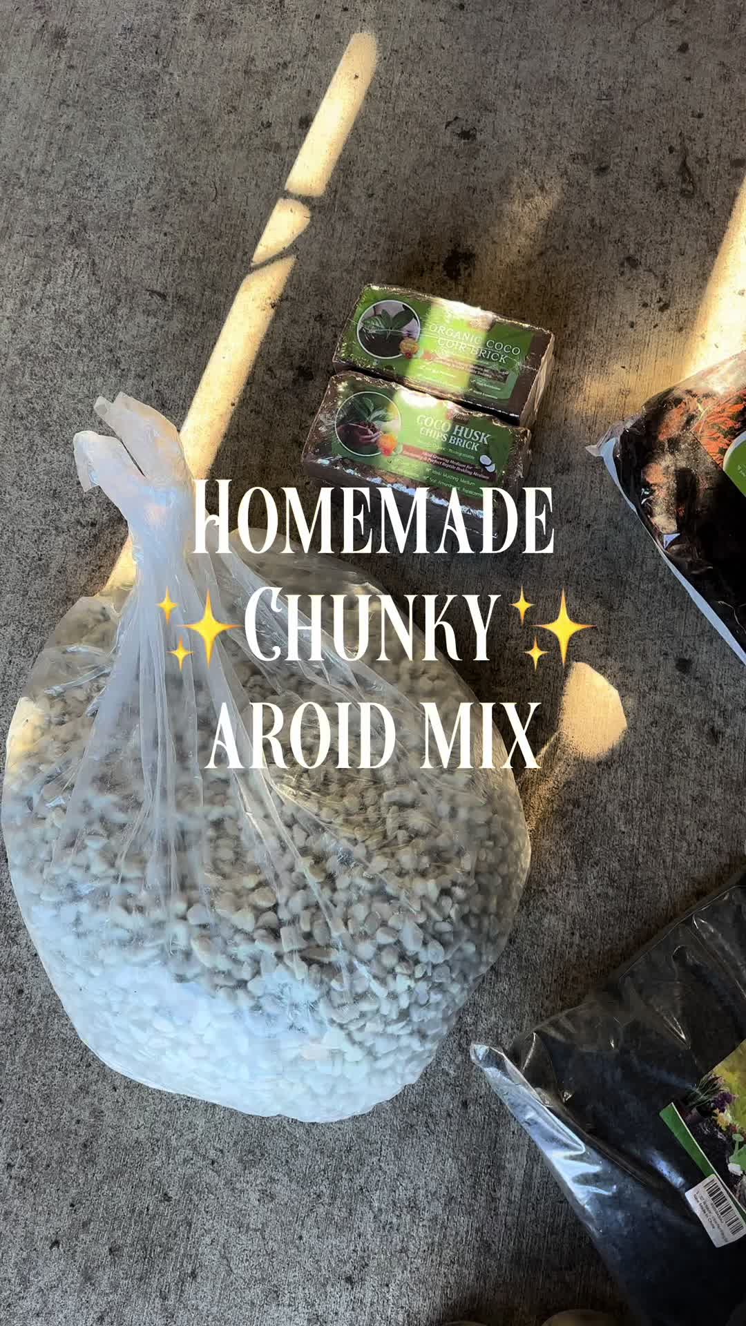@theplantgirl_diaries