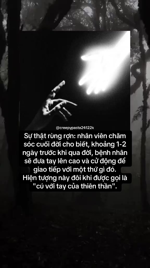 @𝐂𝐎𝐃𝐄𝐗