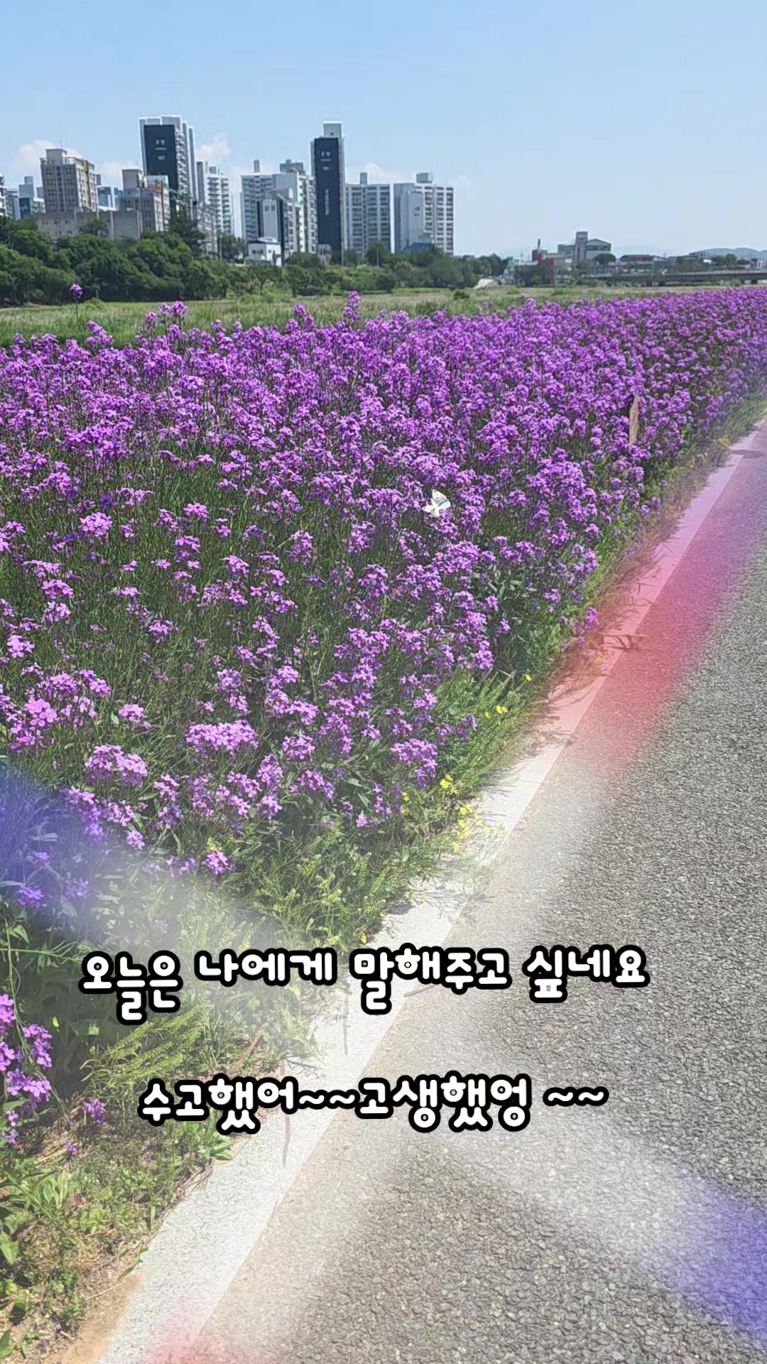 @๐ ๋ฐ๋ณด๋ฅผ์ฌ๋ํ์ธ๋ณด ๐