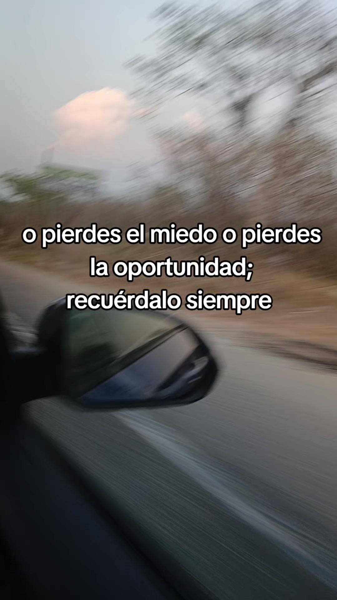 @el_sendero_holistico