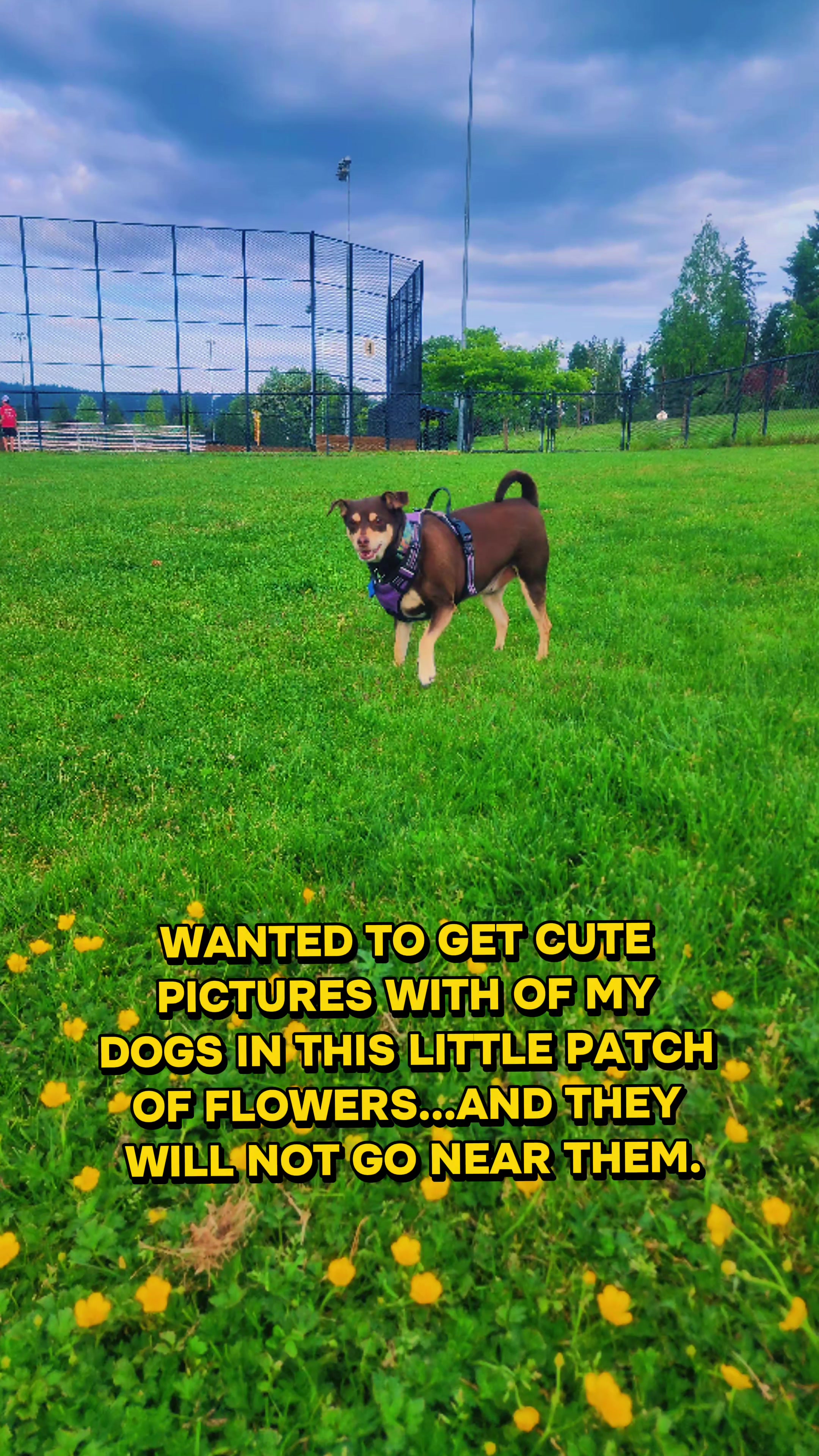 @❤️🦾The*Bionic*Mimi🦾❤️