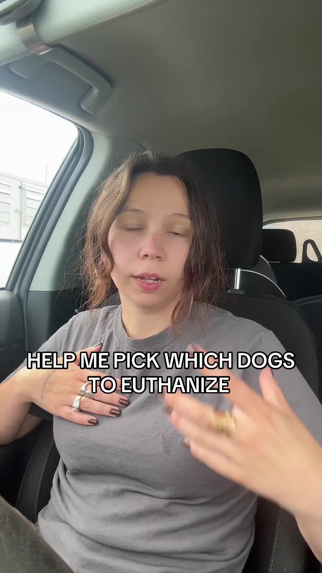 @Kayleigh + Dogs