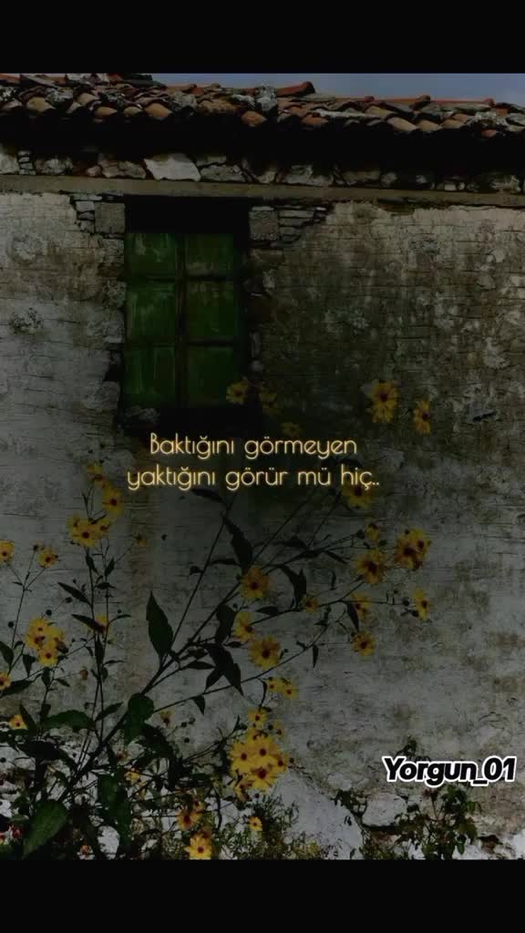 @Yorgun_01