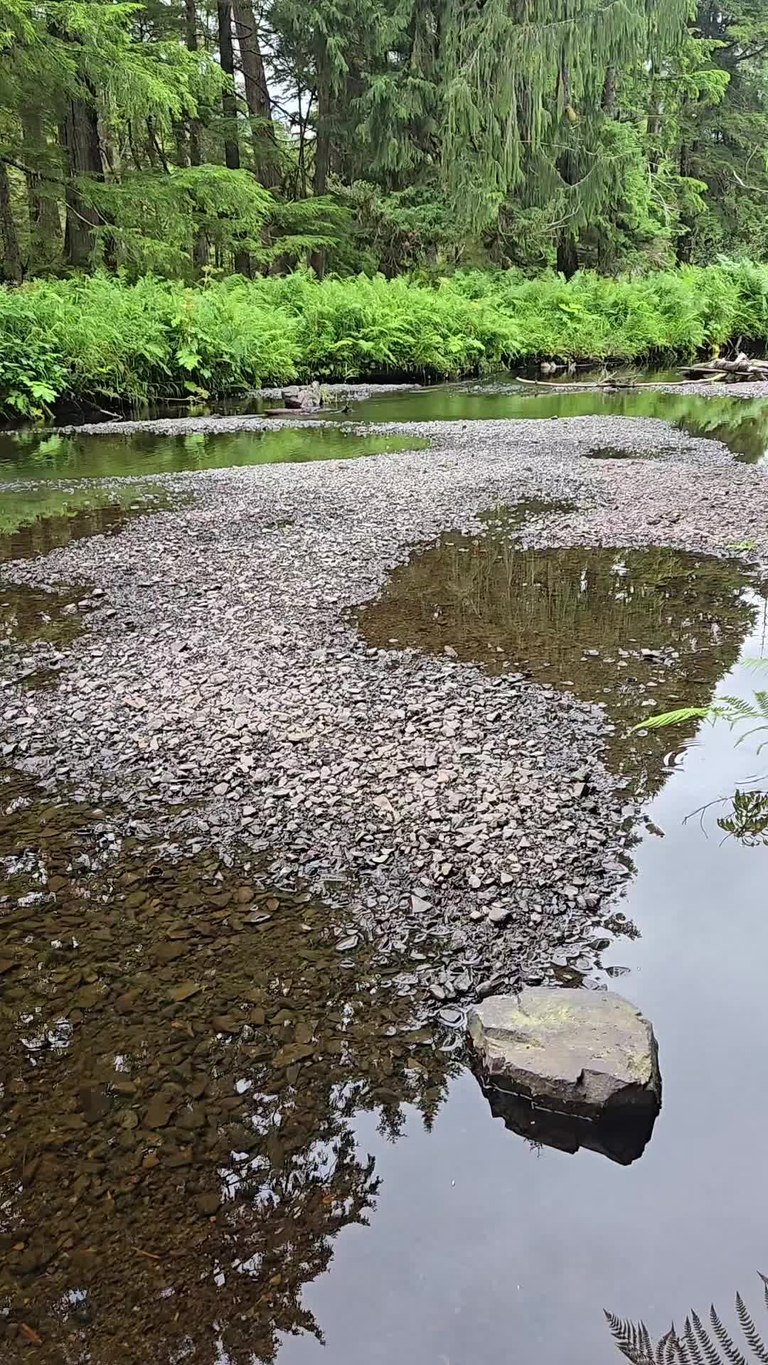 @Alaska's jim stone living wild
