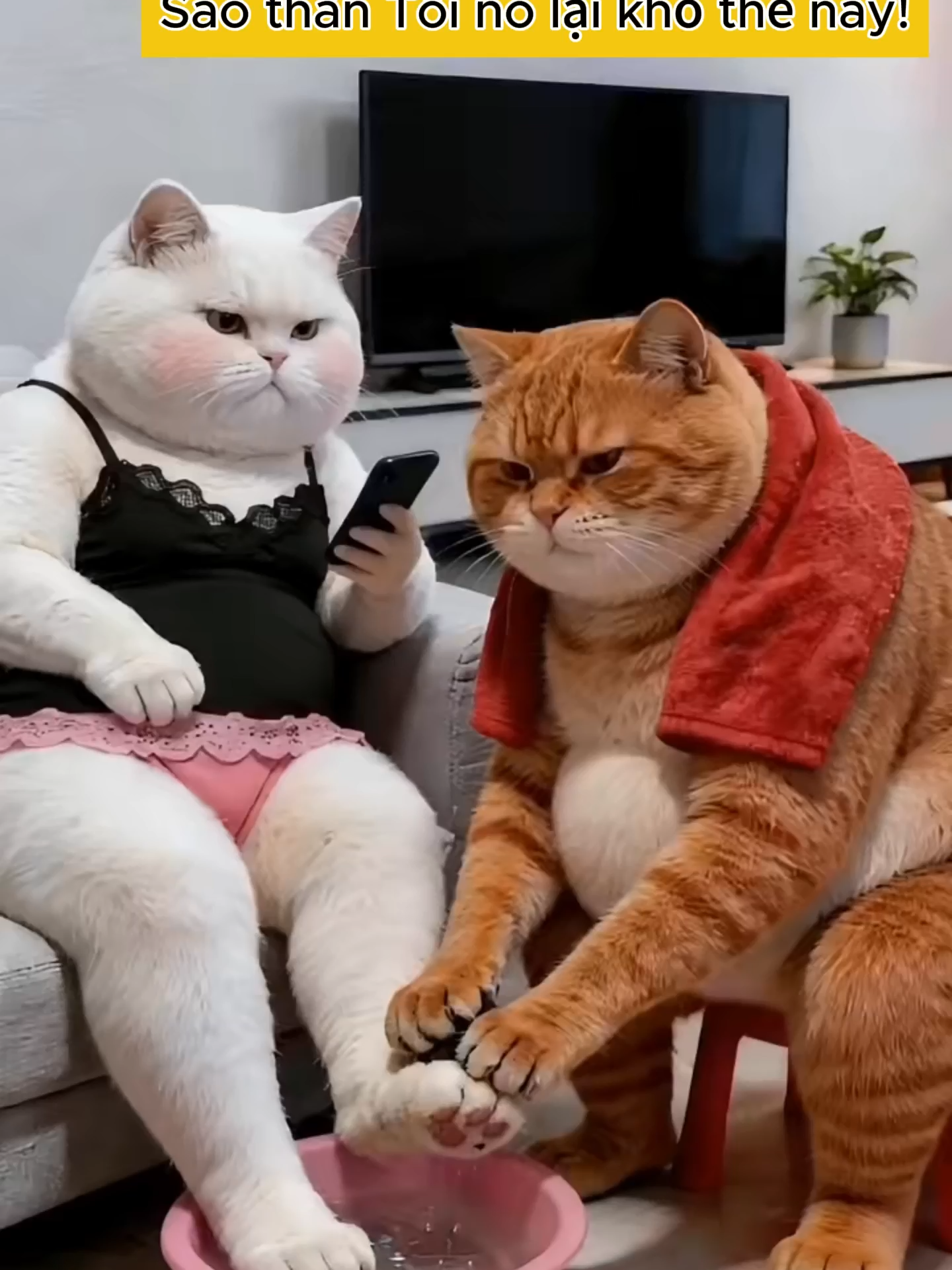 @M&egrave;o H&agrave;i Hước