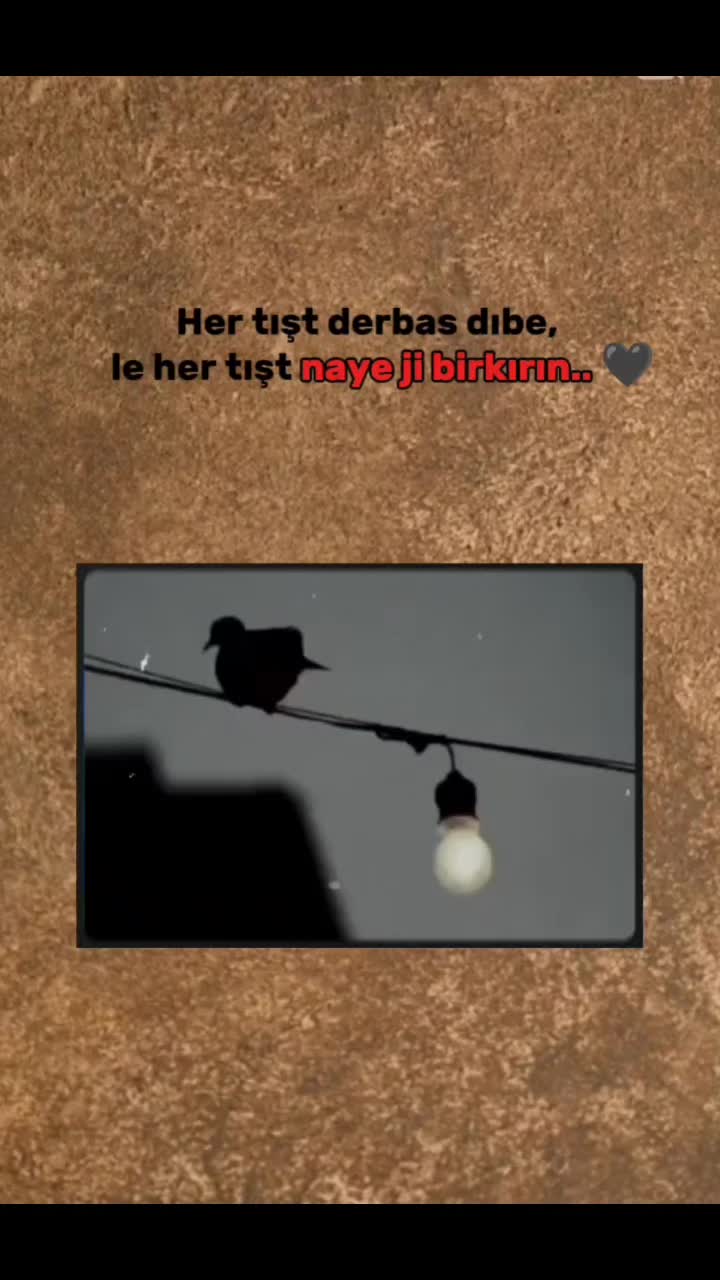 @♡♬𝓶𝓾𝔃𝓲𝓴♬