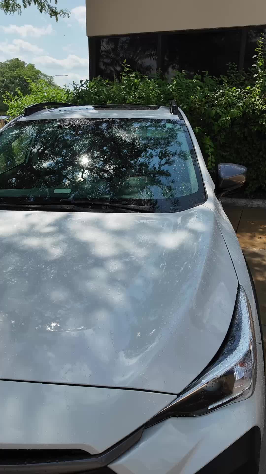 @Turtle Wax