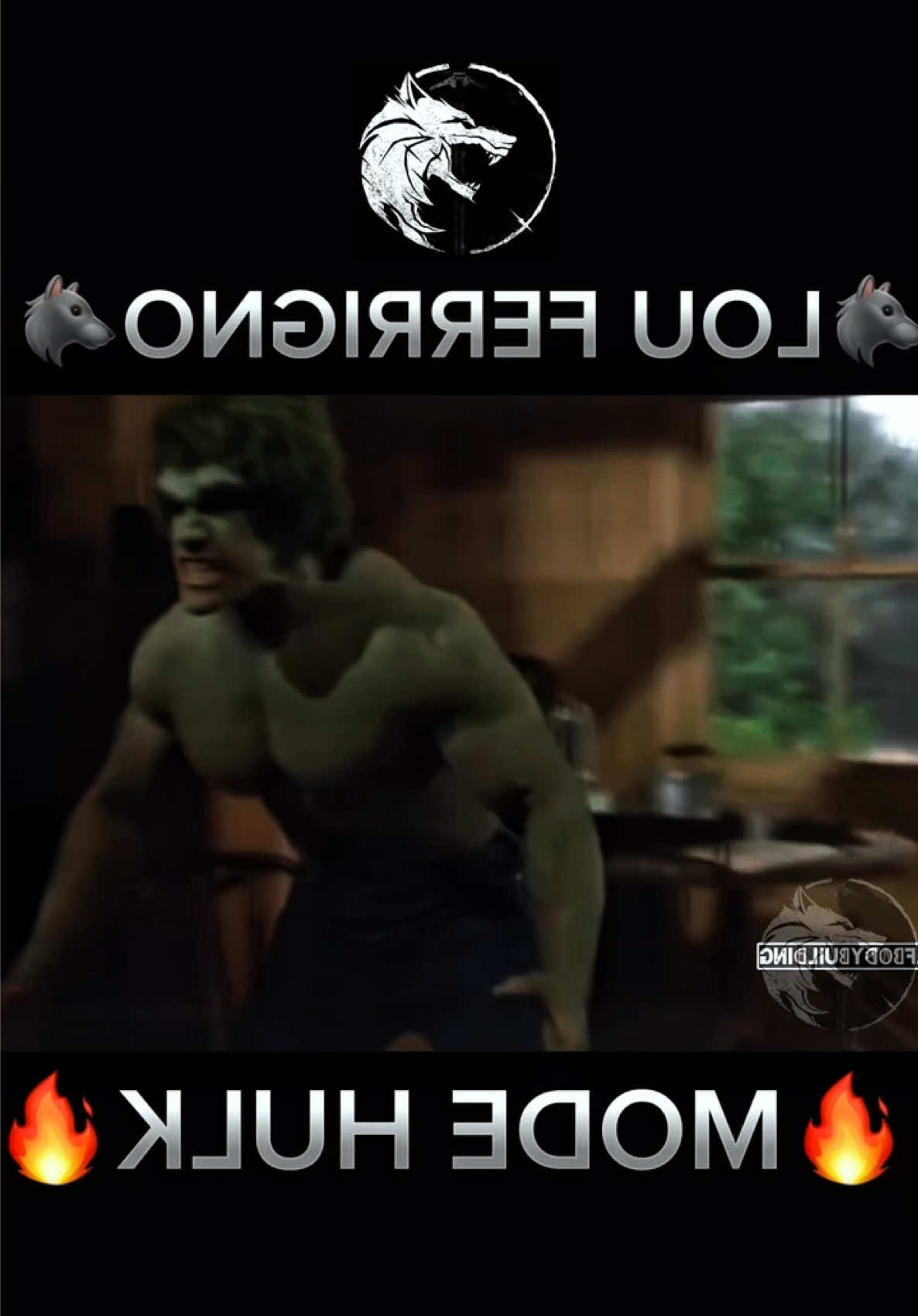 @wolfbodybuilding