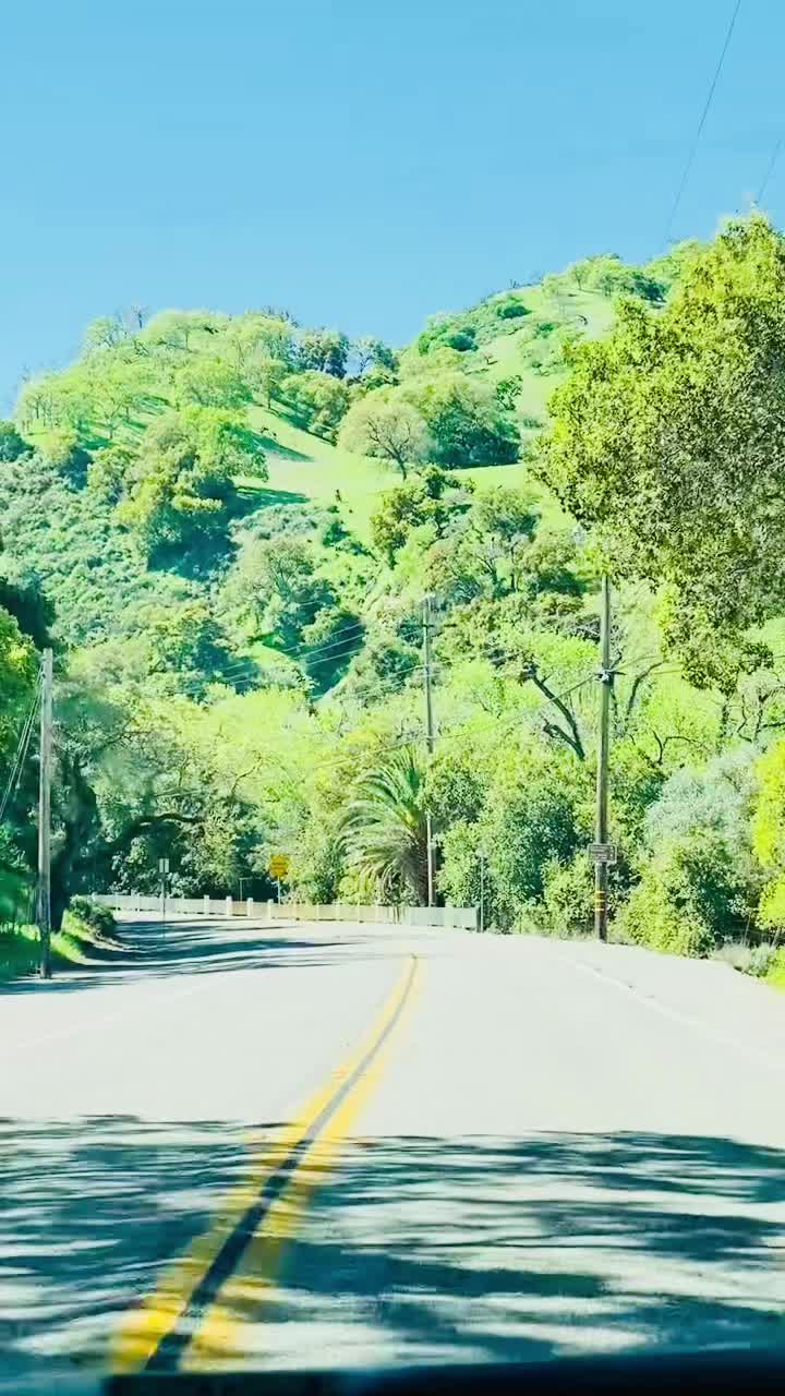 @hamdardraza