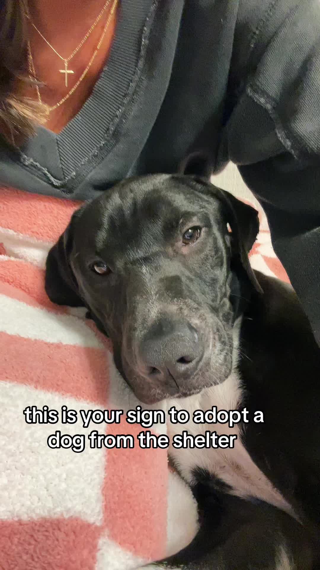 @shelby.welsh