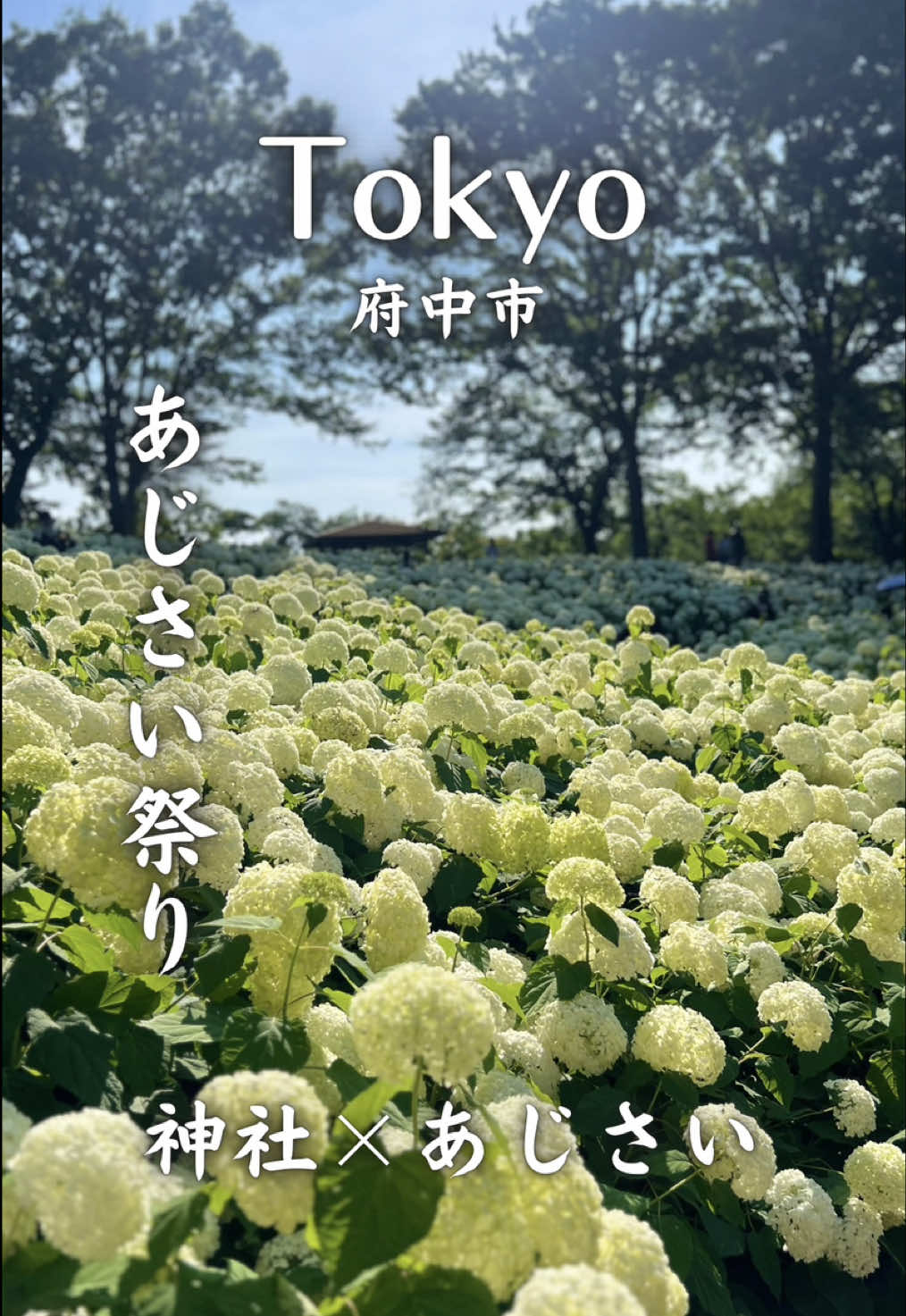 @りょうすけ【東京映えスポット紹介🗼】