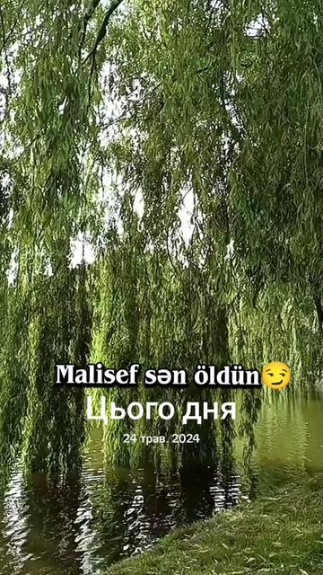 @Seva səmalı🐟