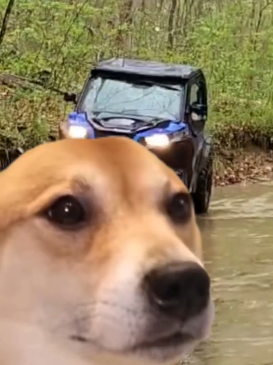 @Josh