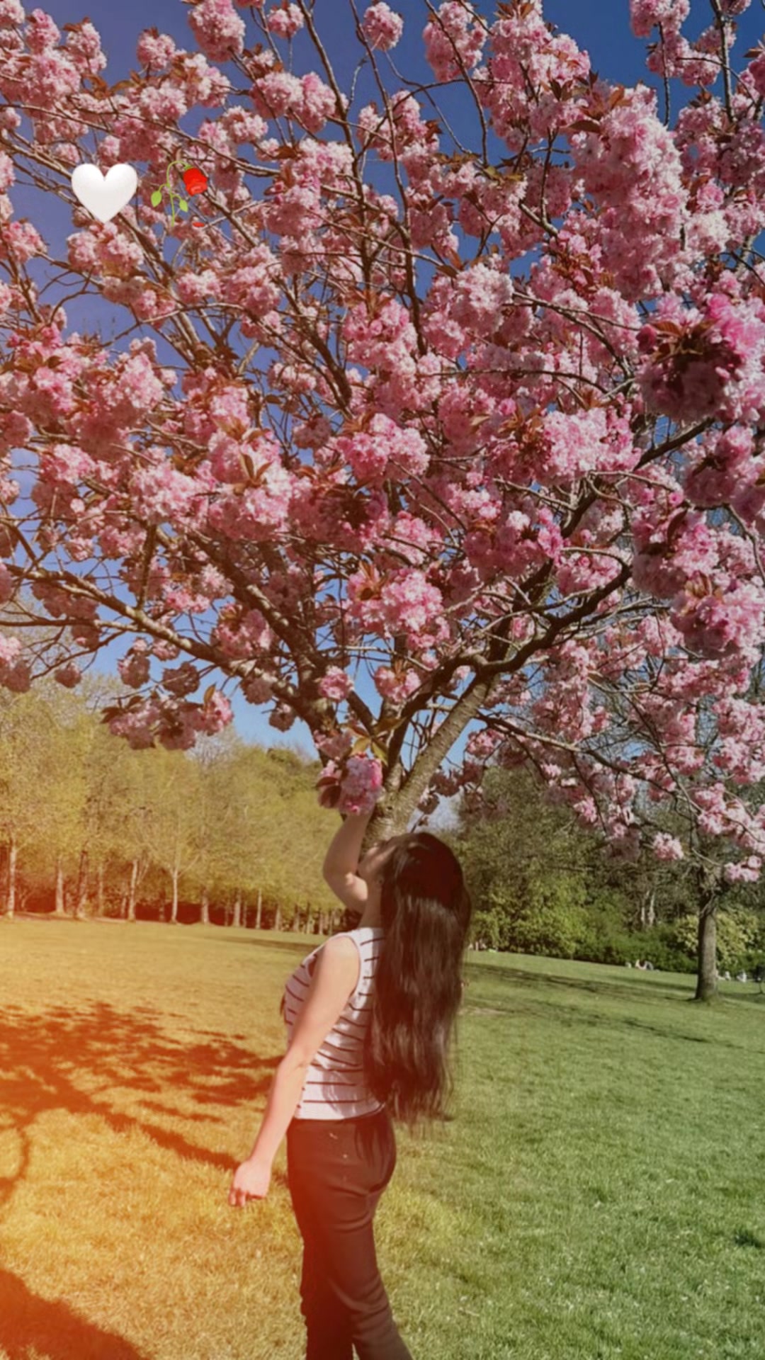 @BHAWANA🦋🦋