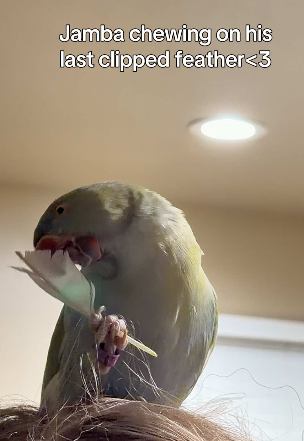 @sipandsquawk