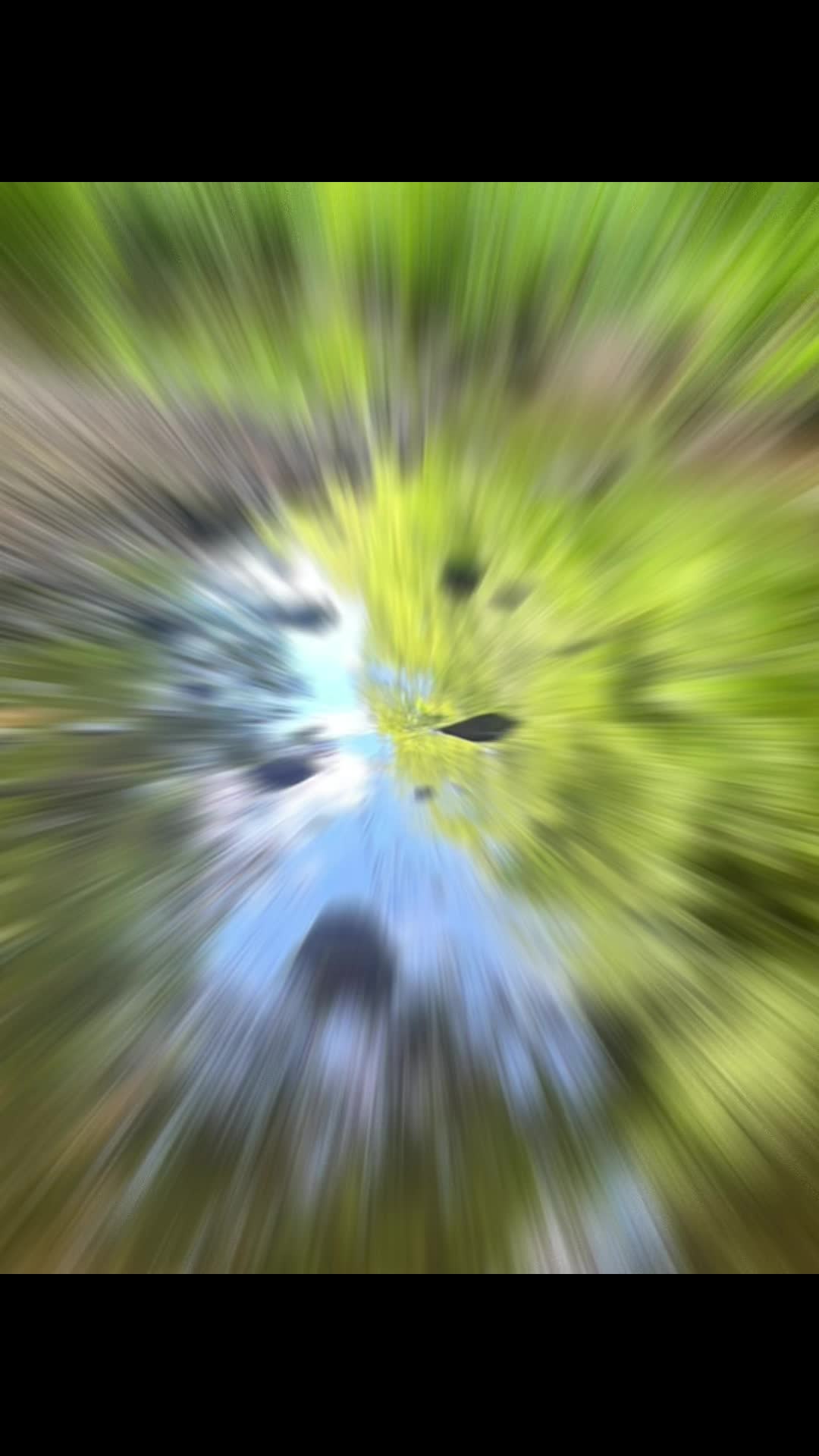 @DavetheNomad
