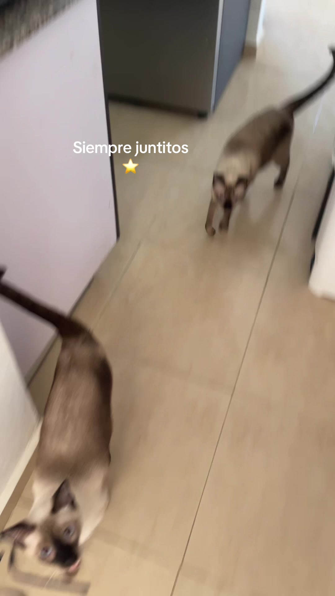 @Hermanitos siameses